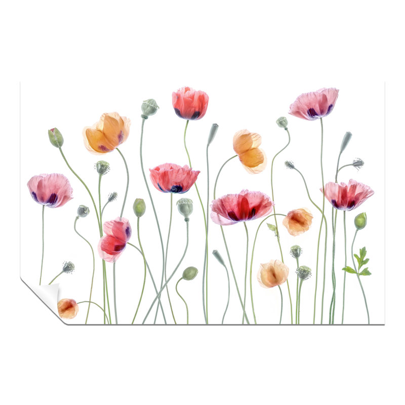 Red And Yellow Transparent Flowers - No Frame Print, 41cm H x 61cm W