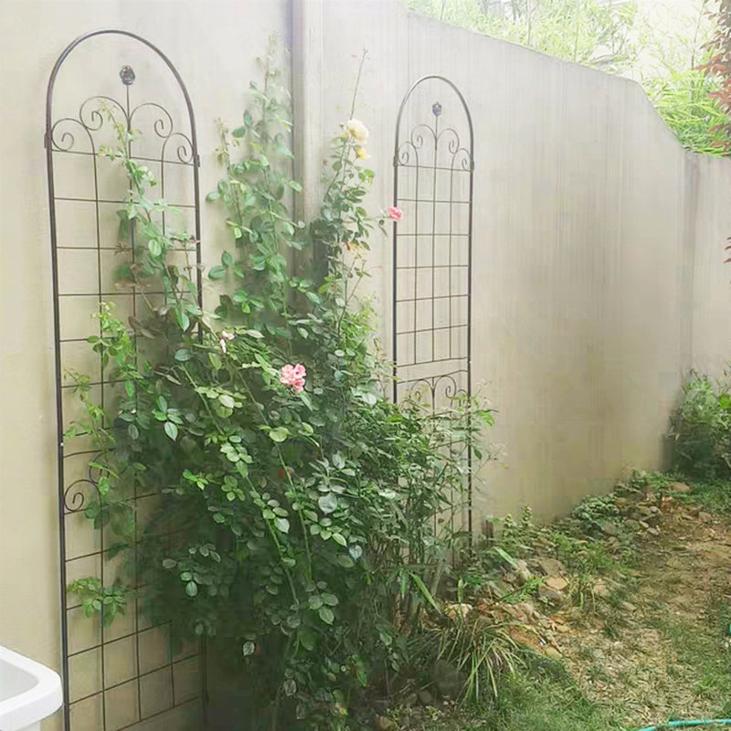 Paquet de 4 treillis de jardin en métal pour plantes grimpantes