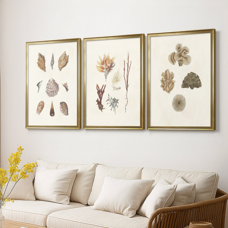Knorr Shells & Coral VI - Toile tendue avec châssis sur mesure - 3 pièces, H 21 po x l 30 po, Doré