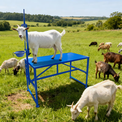 Goat Milking Stand with Feeder, Goat Stand for Trimming Hooves, with Adjustable Head Piece and Legs, 600 Lbs for Small Sheep and Goat