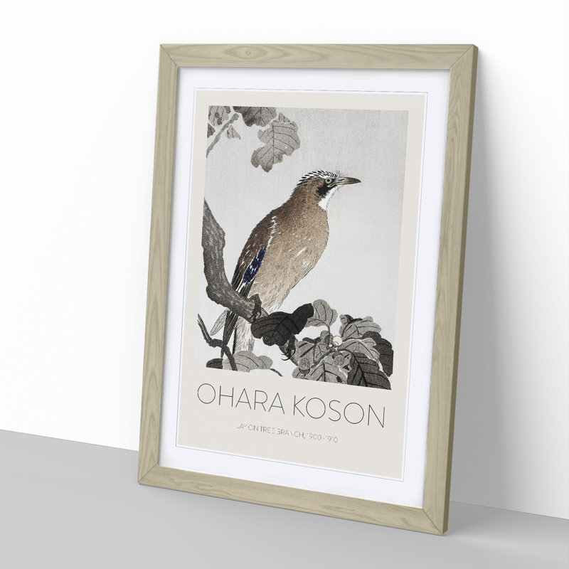 Jay on a Tree Branch by Ohara Koson - Picture Frame Art Prints, Oak Framed, 65cm H x 48cm W x 2cm D