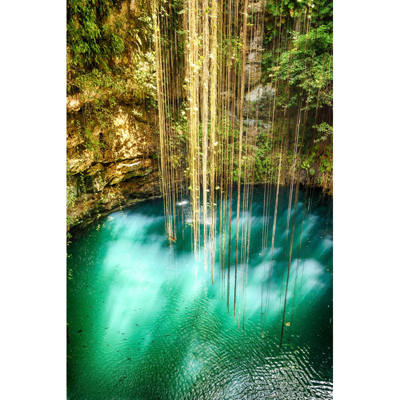 Ik-Kil Cenote in Yucatan - Photographie sur toile tendue, H 12 po x l 8 po