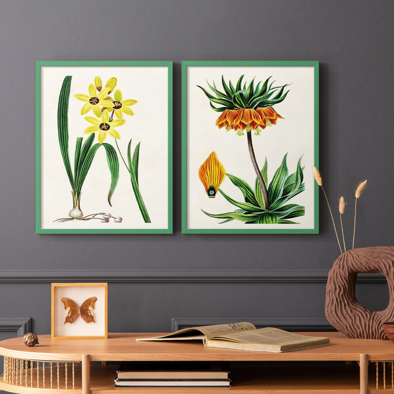 AntiqueFloralFolioVI - reproduction encadrée de qualité supérieure - prête à être accrochée - aucun clou requis - aucun clou requis