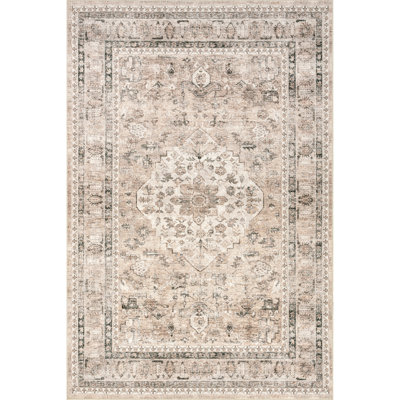 Davi Faded Stain-Resistant Machine Washable Area Rug