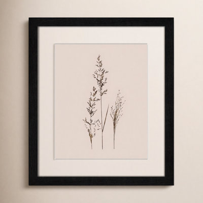 «Caigan Delicate Stems I» par Carol Robinson - reproduction d'un seul cadre