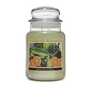 Yankee Candle, Accents, Yankee Candle Sage Citrus Home Fragrance Oil 33  Fl Oz