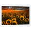 « echos of light », reproduction de photo sur toile-21718061-71969863