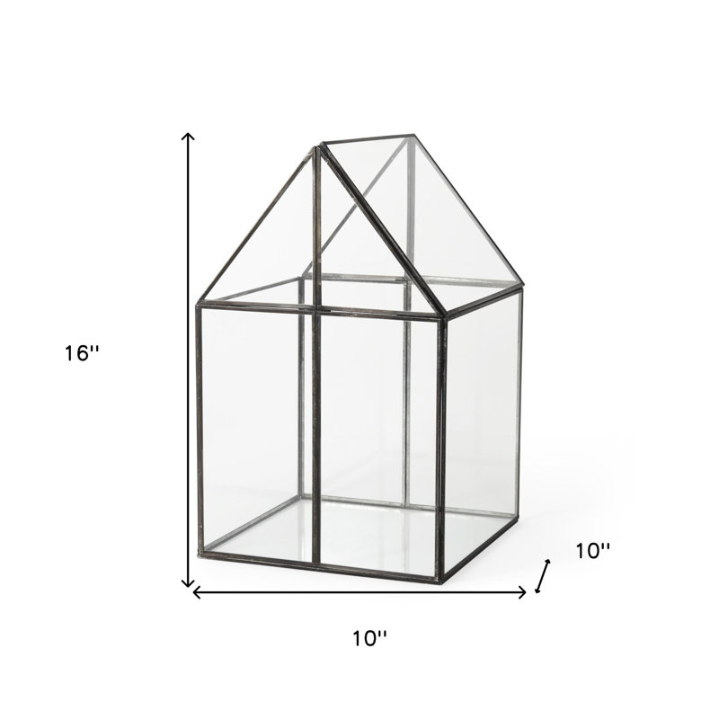 Boîte de terrarium en verre transparent et noir Amarina, H 16 po x l 10 po x P 10 po