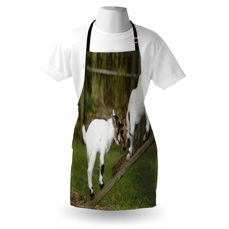Bib Apron