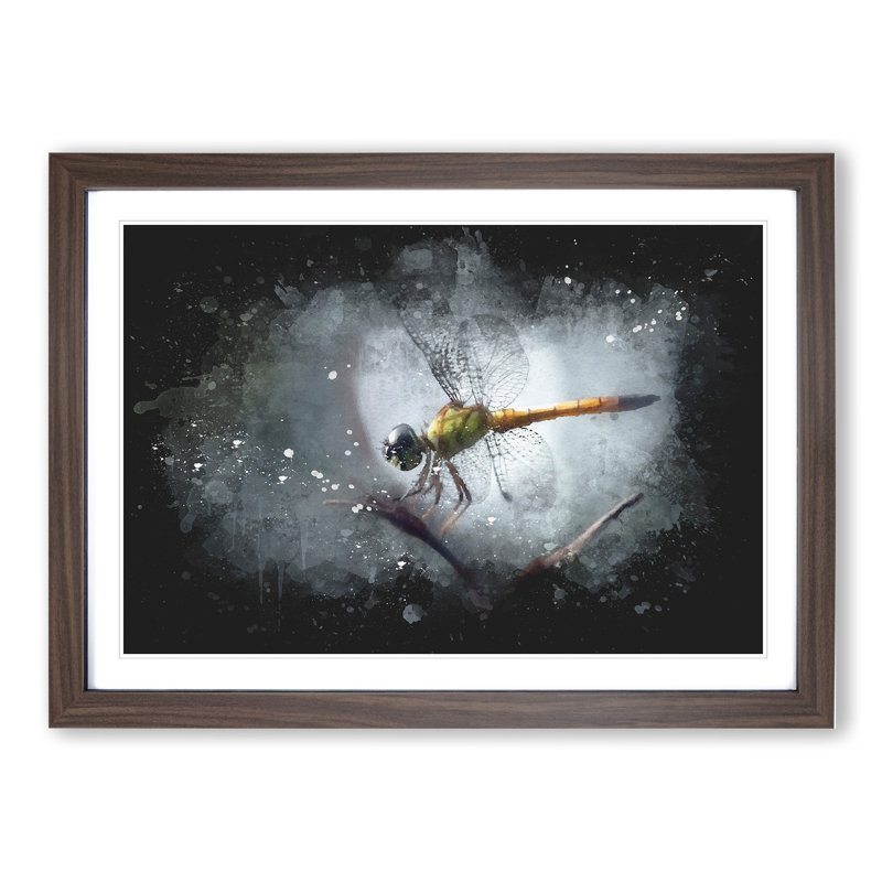 Dragonfly Vol.5 - Framed Print, 36cm H x 48cm W x 2cm D, Walnut
