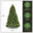 Dunhill Fir Fir Tree-2032998416