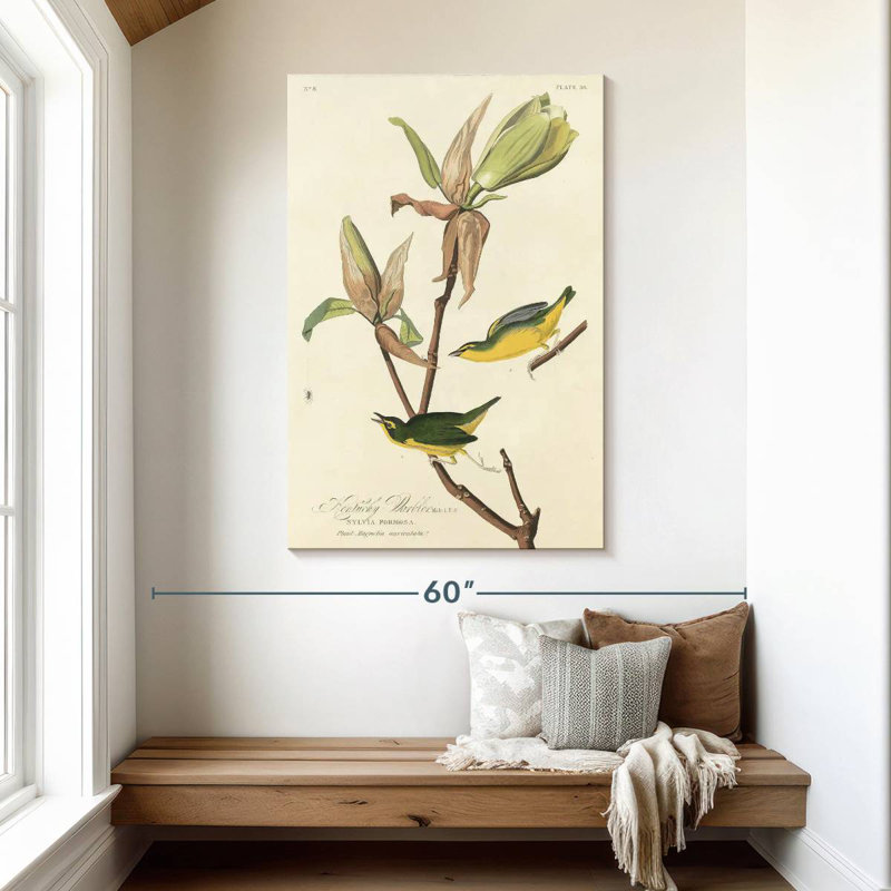 Brampt Kentucky Warbler, 48" H x 32" W