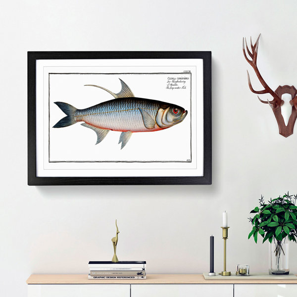 East Urban Home Deep-water Fish by M.E. Bloch - Picture Frame Painting ...