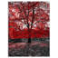 «Red Tree in Central Park», reproduction de photo sur toile tendue-29503382