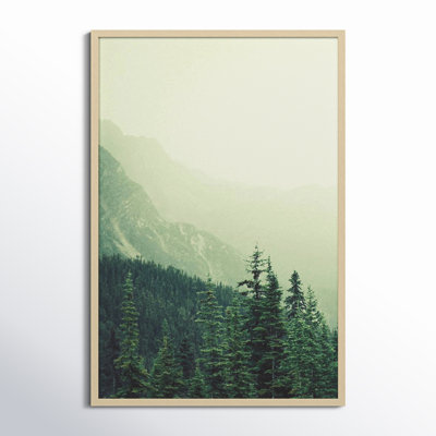Rocky Mountain Trees 7 Photo Print