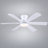 52" 5-Blade Flush Mount Ceiling Fans With Lights And Remote/App-1042103951-826556498