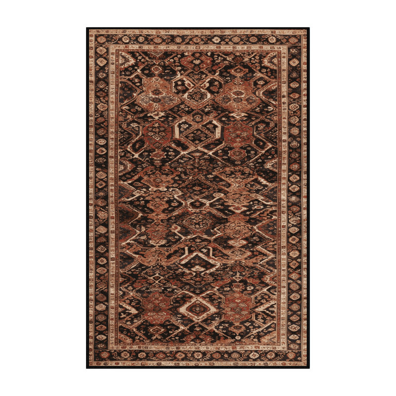 Machine Washable Turkish Brown Area Rug, Rectangle 4' x 6'