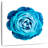 Harnek Gradient Blue Rose-109357862
