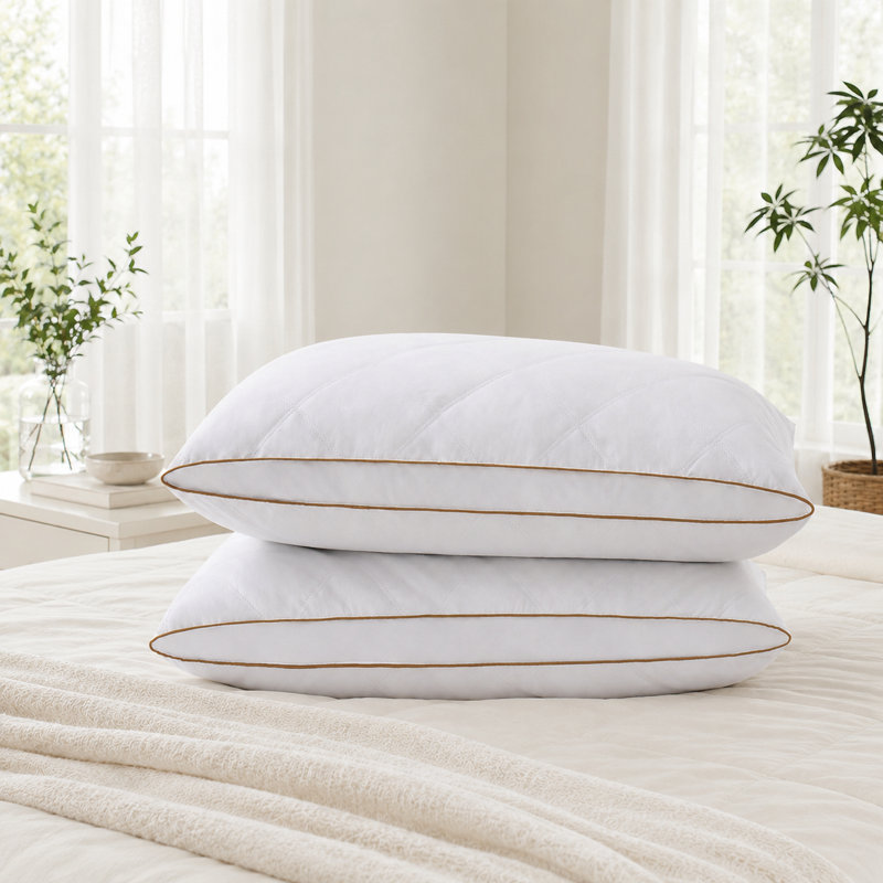 Ensemble de 2 oreillers en duvet d'oie à plumes et en duvet à soufflet Gusset, Grand lit, Brun
