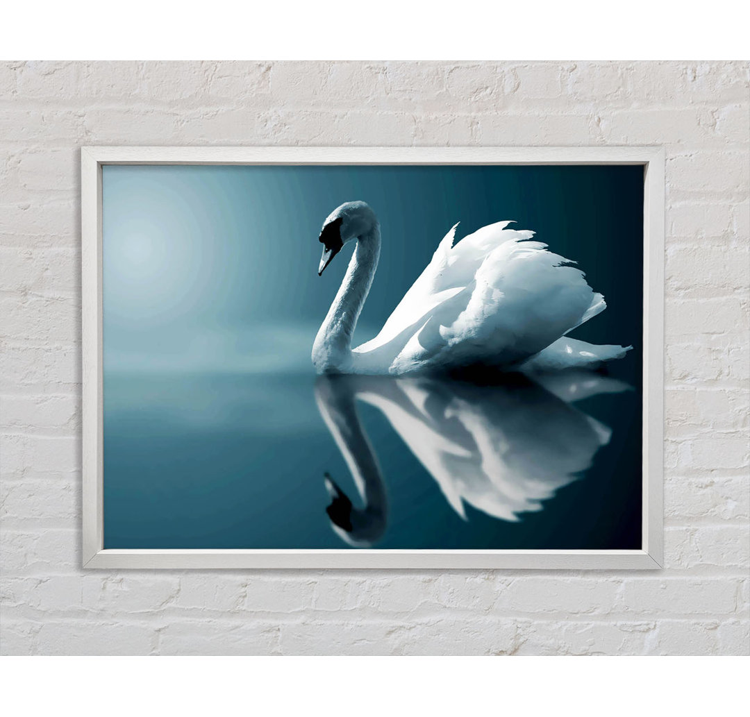 Reflections Of A Swan - Single Picture Frame Kunstdrucke auf Leinwand