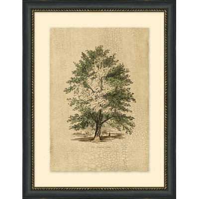 The Plane Tree Print