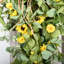 Guirlande de fleurs de marguerite artificielle