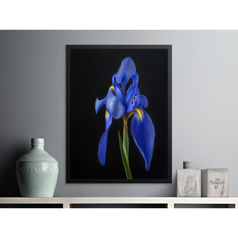 Chariah Single Picture Frame Print, 43.18 cm H x 27.94 cm W
