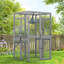Cat Cage-1718835910