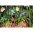 Metal Animals Garden Stake