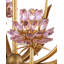 Lustre Marilee-119369917-119369913-119369916