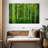Alvord Bamboo Jungle-111960996