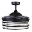 Ventilateur de plafond à pales rétractables de 48 po avec lumière et télécommande Luna
