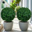 70 cm H Faux Boxwood Tree Plant