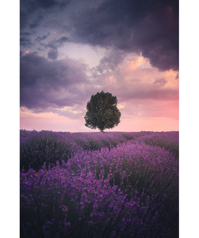 Wrapped Canvas Print, 76.2 cm H x 50.8 cm W