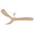 Bronn Ceiling Fan-1655019642