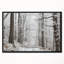 «Forest Trail on Winter Morning», reproduction de photo sur toile-26692002