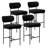 Osborne 26" H Upholstered Bar Stools Counter Height Bar Stools With Adjustable Foot Pads-107152733-106754201