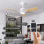 Shinpei 42" Ceiling Fan with LED Light and Remote-692997659