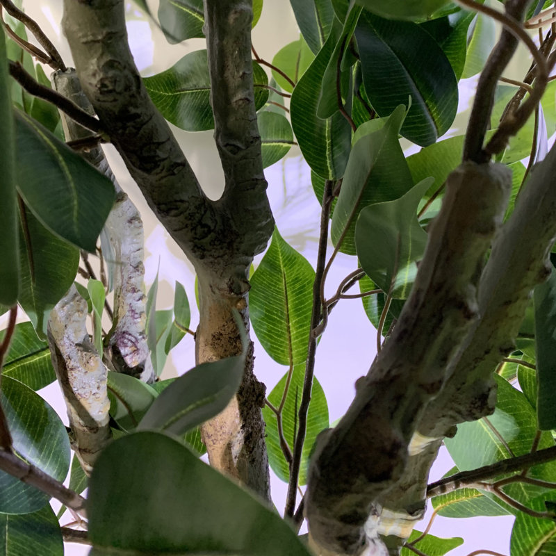 Anivea 110cm Faux Ficus Tree in Pot
