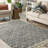 Asghar Area Rug LCI2300-70048757