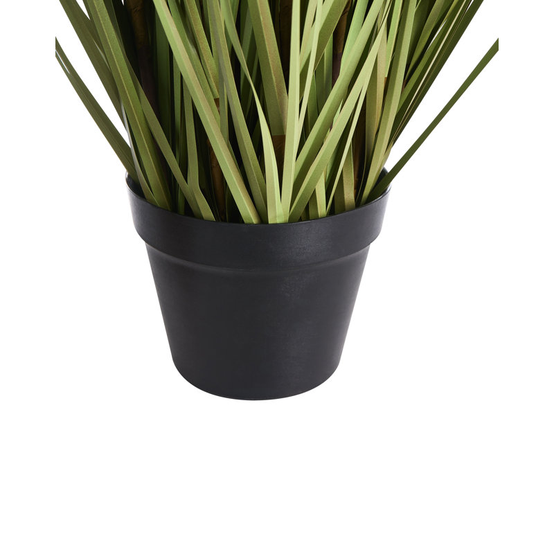 RUDBEKDARIUM 120 cm H Faux Onion Grass Plant in Plastic Pot