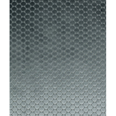 Newman Fabric