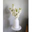 Cream Cymbidium Orchid 33"-1398070699