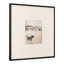 Strand 2 Framed Print