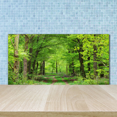 50cm W x 100cm L Glass Peel and Stick Panel