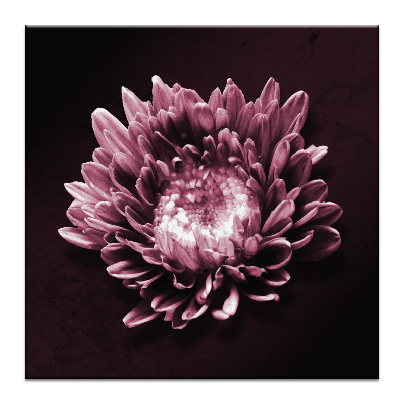 Print on Canvas, Wrapped Canvas, 41cm H x 41cm W