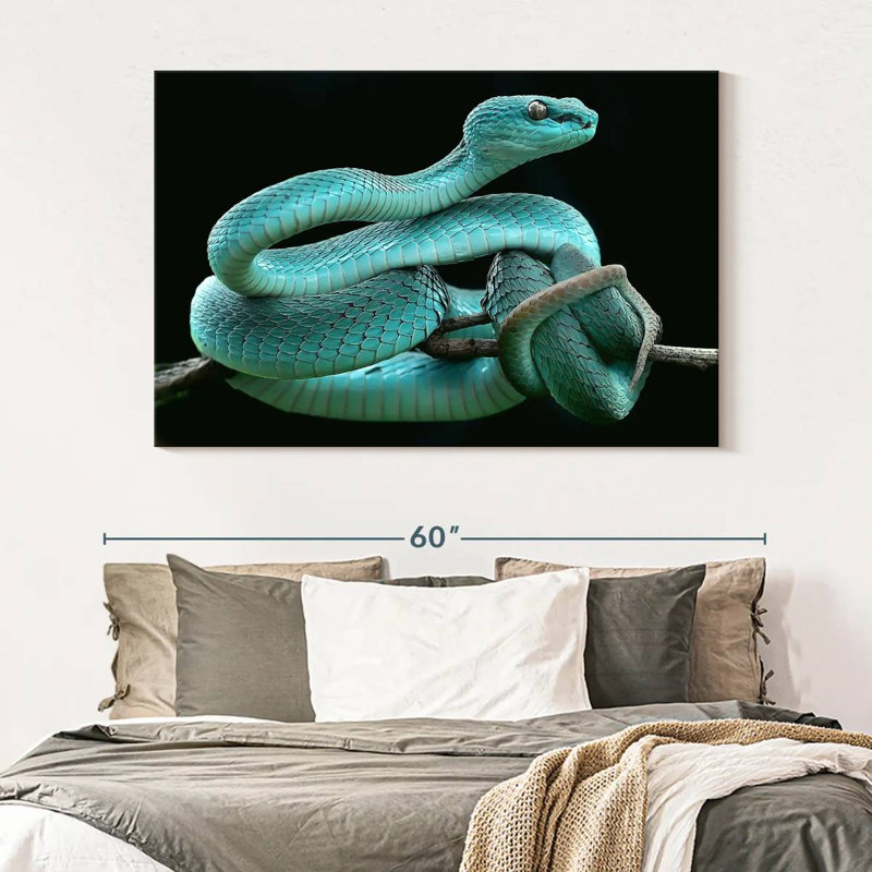 Brampt Blue Pit Viper, 34" H x 51" W