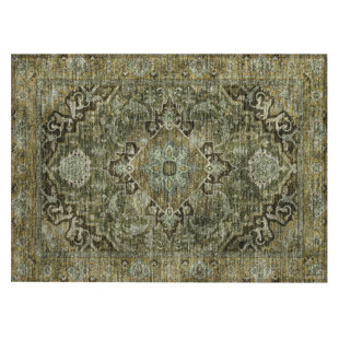 Machine Washable Indoor/Outdoor Arline ACN2165 Global Rug