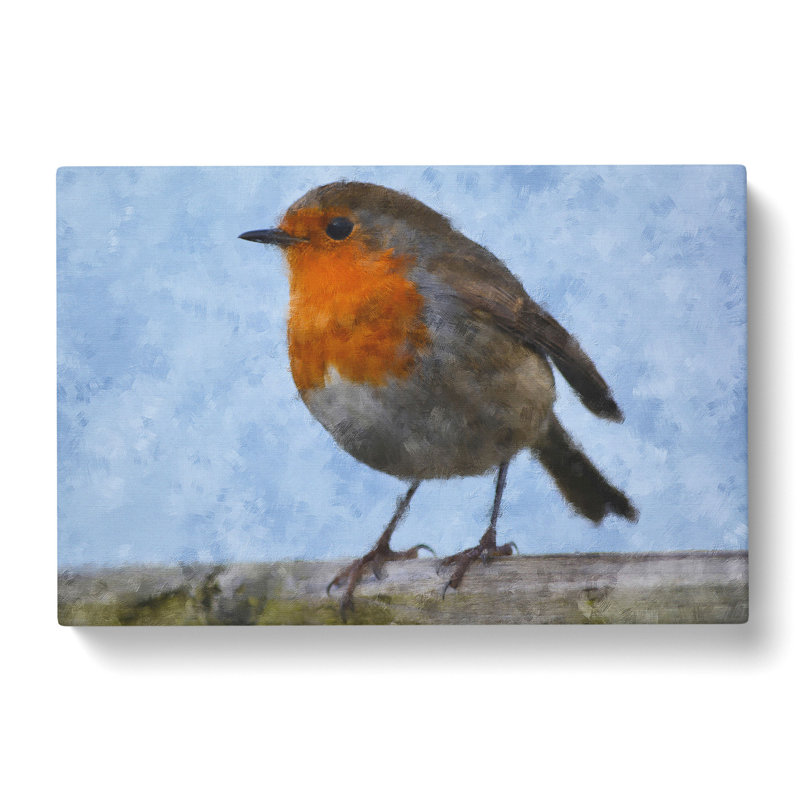 Robin Bird Vol.1 - Wrapped Canvas Painting, 35cm H x 50cm W x 3cm D