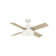 44" Levitt 4 - Blade LED Standard Ceiling Fan with Wall Control and Light Kit Included